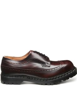 Modastrix.shope017fab118 1