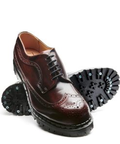 Modastrix.shope017fab118 2